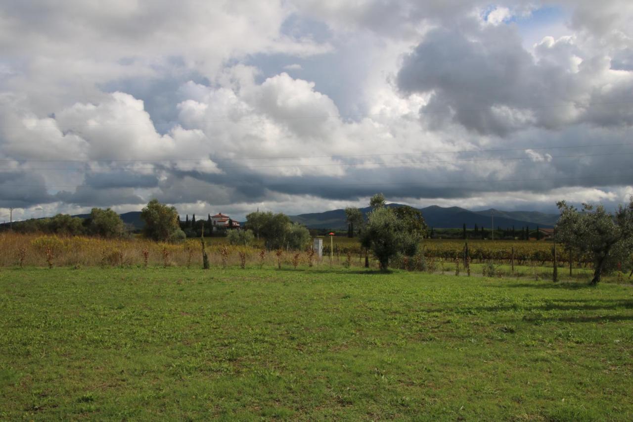 Podere Campo Alle Serpi Bibbona Εξωτερικό φωτογραφία
