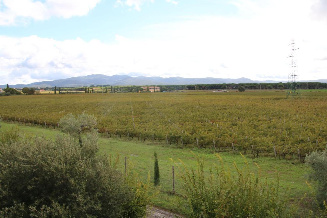 Podere Campo Alle Serpi Bibbona Εξωτερικό φωτογραφία