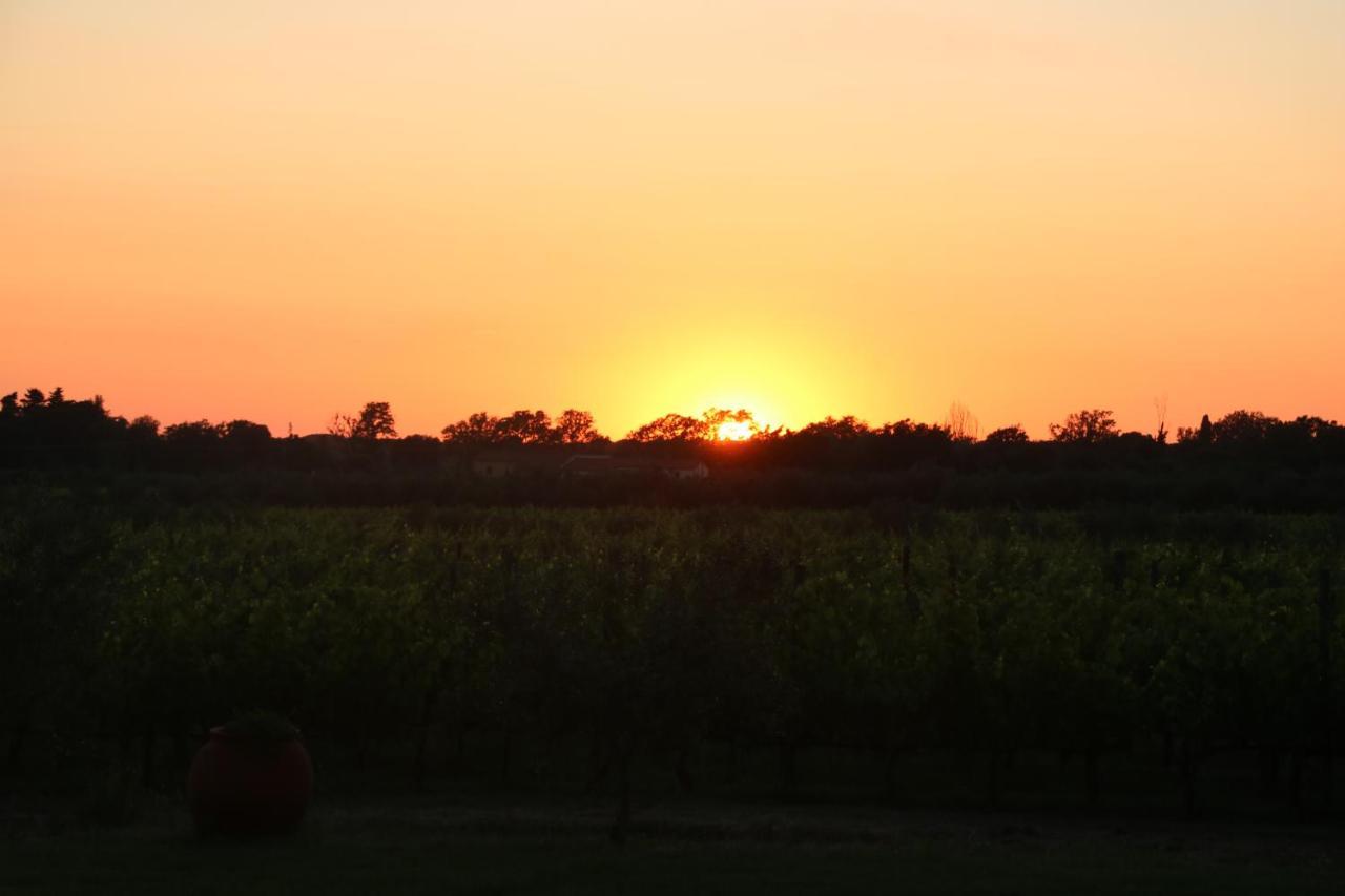 Podere Campo Alle Serpi Bibbona Εξωτερικό φωτογραφία