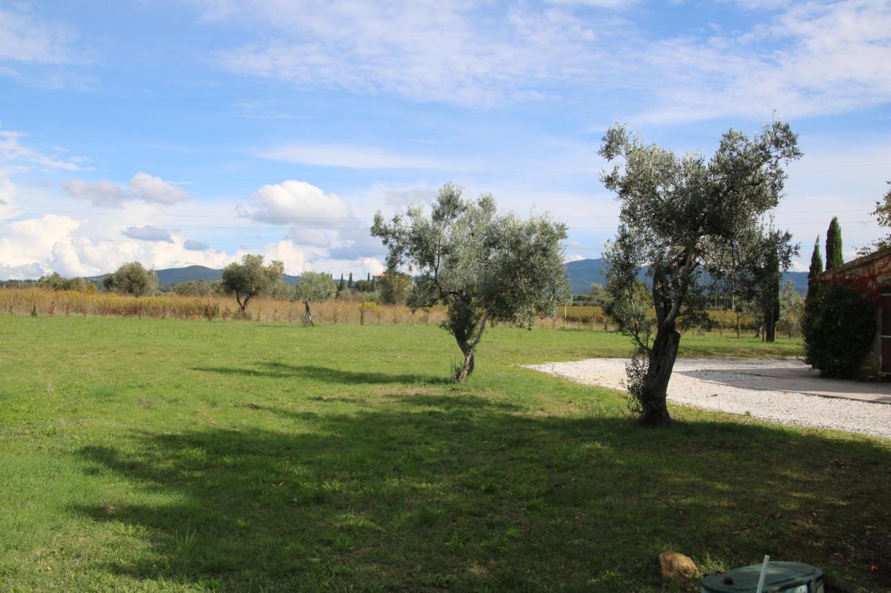 Podere Campo Alle Serpi Bibbona Εξωτερικό φωτογραφία