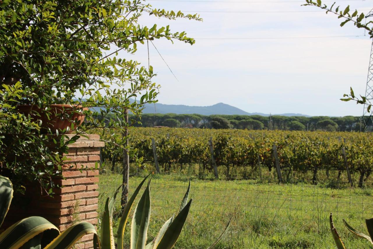 Podere Campo Alle Serpi Bibbona Εξωτερικό φωτογραφία