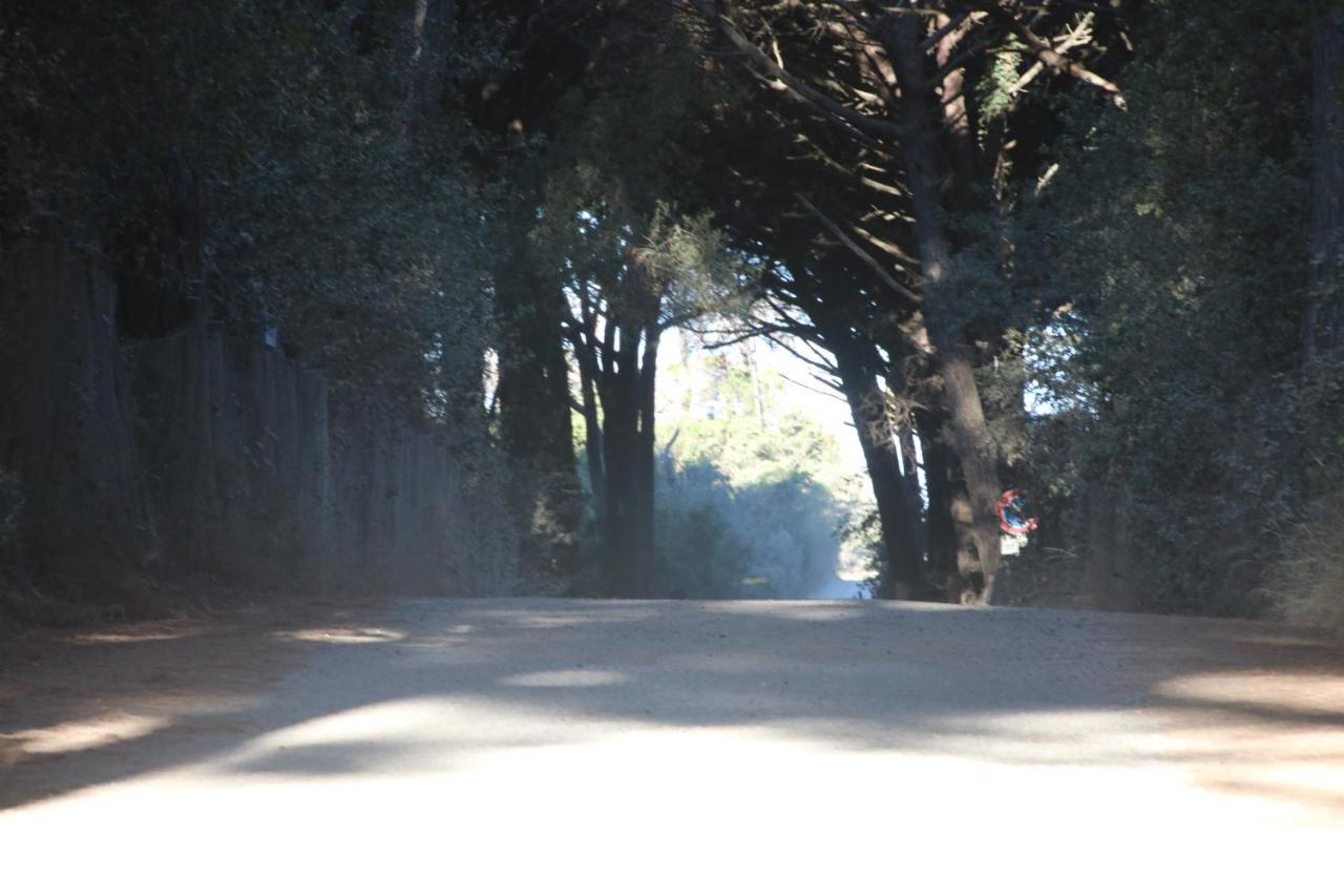 Podere Campo Alle Serpi Bibbona Εξωτερικό φωτογραφία