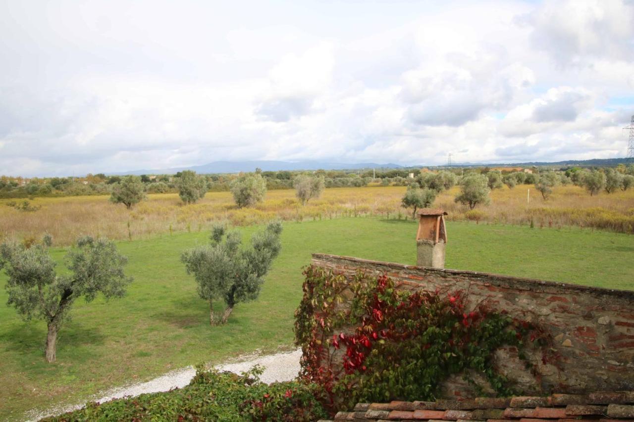 Podere Campo Alle Serpi Bibbona Εξωτερικό φωτογραφία