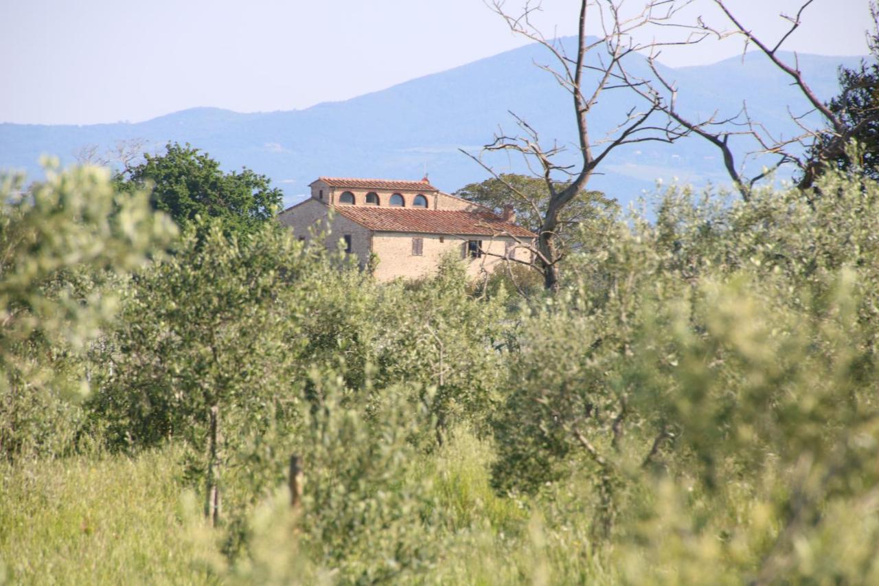 Podere Campo Alle Serpi Bibbona Εξωτερικό φωτογραφία
