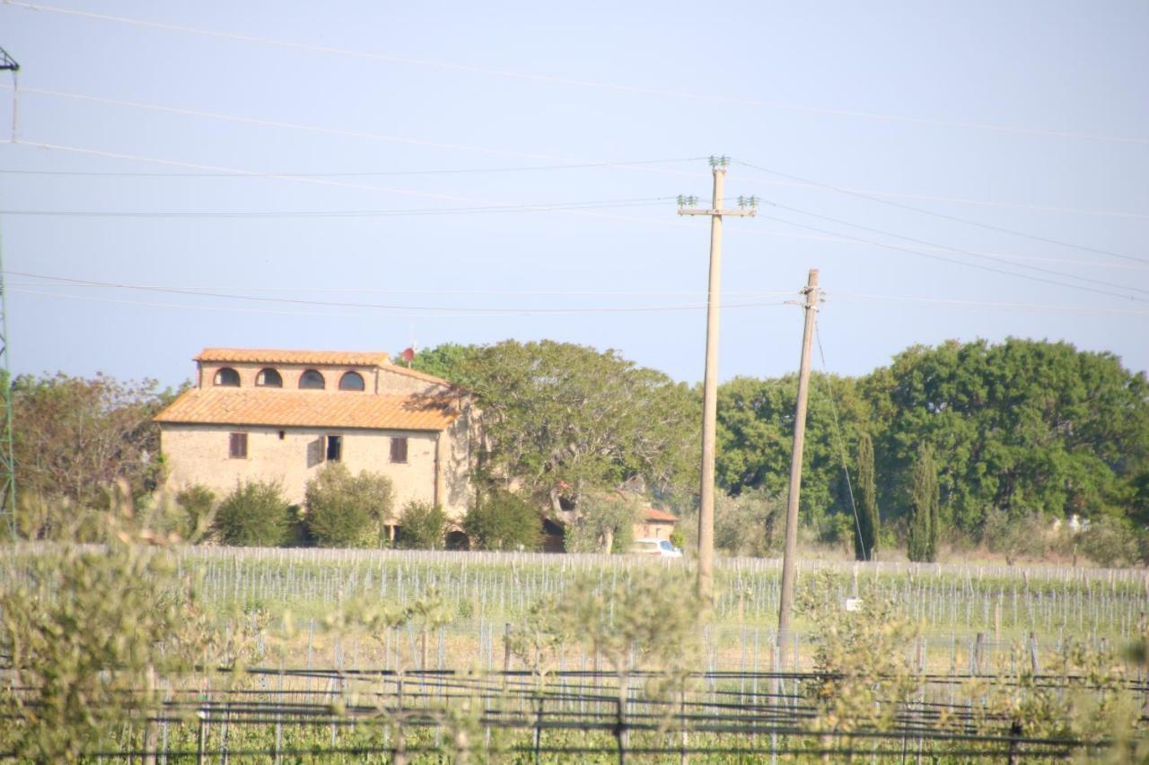 Podere Campo Alle Serpi Bibbona Εξωτερικό φωτογραφία