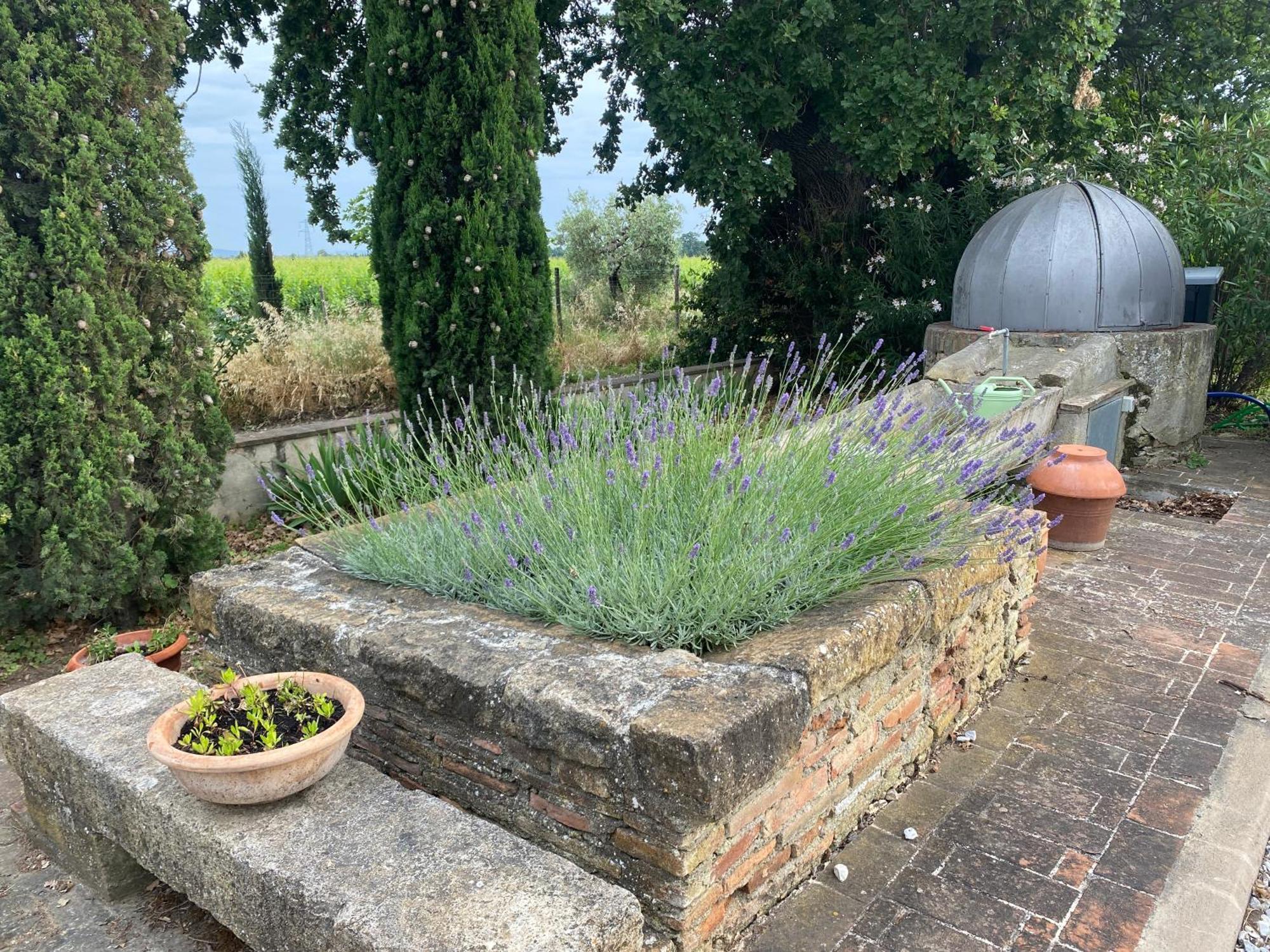 Podere Campo Alle Serpi Bibbona Εξωτερικό φωτογραφία