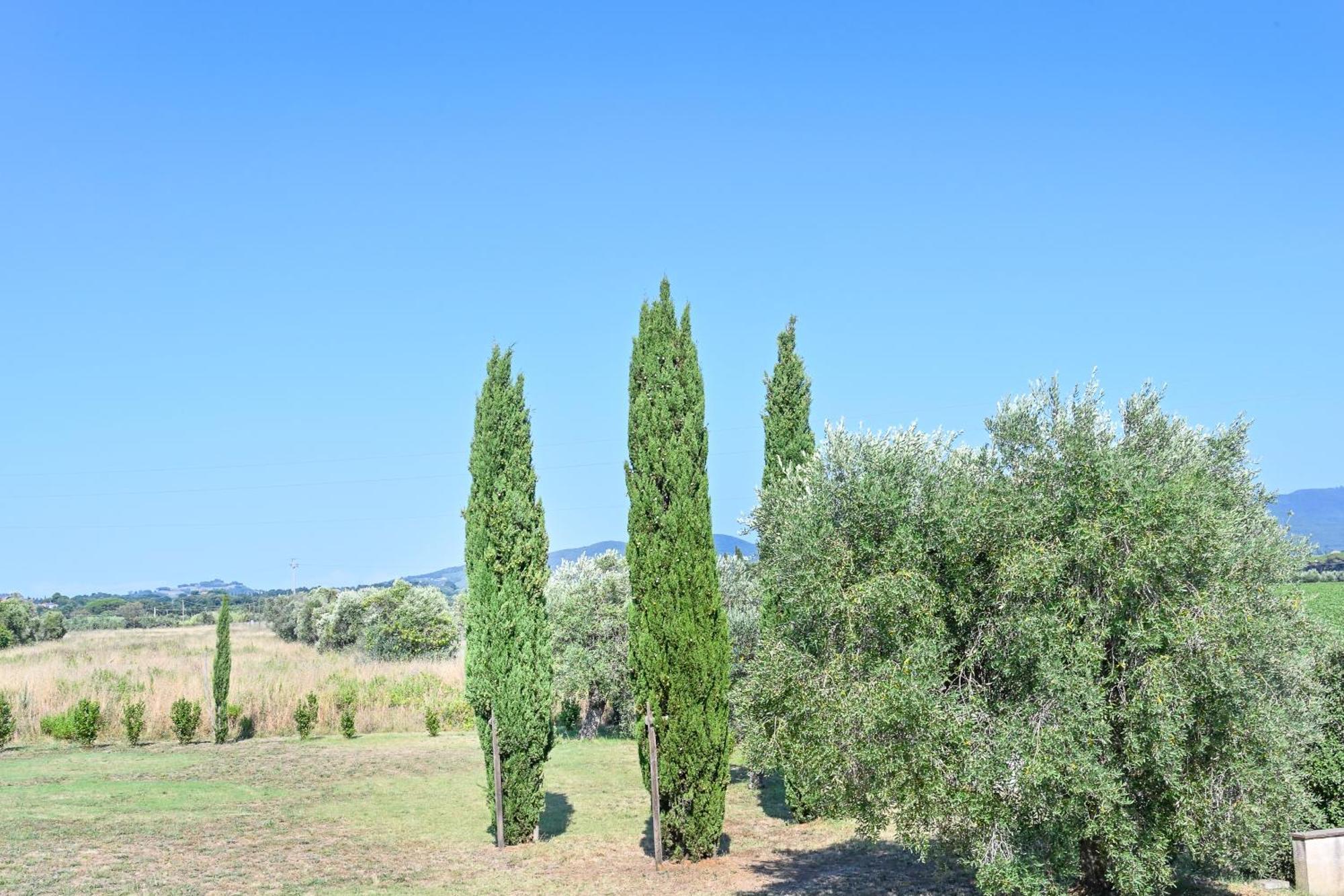 Podere Campo Alle Serpi Bibbona Δωμάτιο φωτογραφία