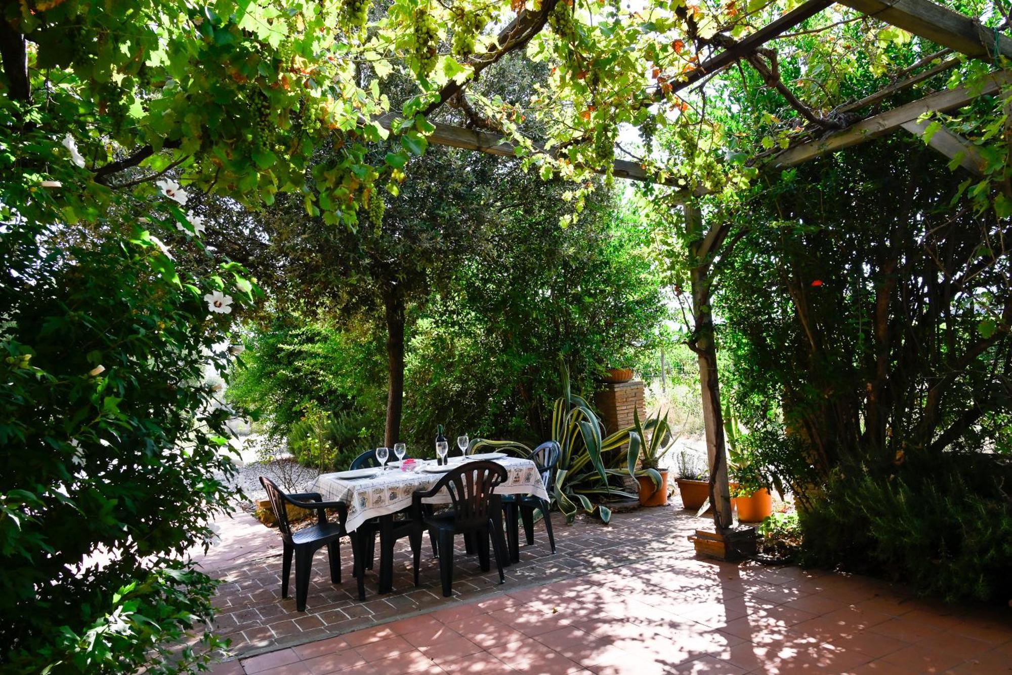 Podere Campo Alle Serpi Bibbona Δωμάτιο φωτογραφία